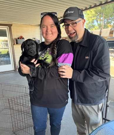 Happy Labrador puppy family review from Amanda R.